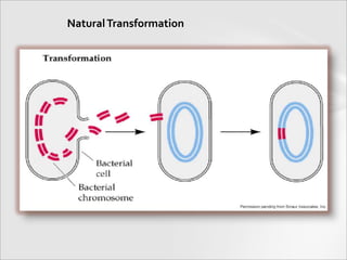 NaturalTransformation
 