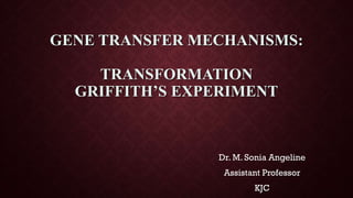 GENE TRANSFER MECHANISMS:
TRANSFORMATION
GRIFFITH’S EXPERIMENT
Dr. M. Sonia Angeline
Assistant Professor
KJC
 