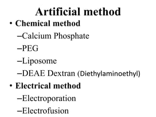 Artificial method
• Chemical method
–Calcium Phosphate
–PEG
–Liposome
–DEAE Dextran (Diethylaminoethyl)
• Electrical method
–Electroporation
–Electrofusion
 
