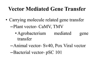 Vector Mediated Gene Transfer
• Carrying molecule related gene transfer
–Plant vector- CaMV, TMV
•Agrobacterium mediated gene
transfer
–Animal vector- Sv40, Pox Viral vector
–Bacterial vector- pSC 101
 