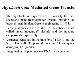 Agrobacterium Mediated Gene Transfer
• The Agrobacterium system was historically the first
successful plant transformation system, marking the
break through in plant Genetic engineering in 1983.
• Large plasmids (140–235 kbp) in these bacteria are
called tumour inducing (Ti plasmid) and root inducing
(Ri plasmid) respectively.
• Virulence genes aid in the transfer of T-DNA into the
host plant cell. Ti plasmid contains 35 vir genes
arranged in 8 operons.
• Integrated in the plant nuclear DNA at random site
 