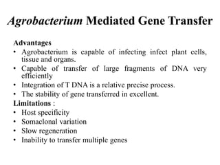 Agrobacterium Mediated Gene Transfer
Advantages
• Agrobacterium is capable of infecting infect plant cells,
tissue and organs.
• Capable of transfer of large fragments of DNA very
efficiently
• Integration of T DNA is a relative precise process.
• The stability of gene transferred in excellent.
Limitations :
• Host specificity
• Somaclonal variation
• Slow regeneration
• Inability to transfer multiple genes
 