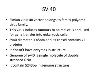 SV 40
• Simian virus 40 vector belongs to family polyoma
virus family.
• This virus induces tumours to animal cells and used
for gene transfer into eukaryotic cells
• Sv40 diameter is 45nm and its capsid contains 72
proteins
• It doesn’t have enzymes in structure
• Genome of sv40 is single molecule of double
stranded DNA
• It contain 5243bp in genome structure
 