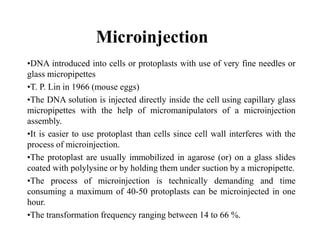 Microinjection
•DNA introduced into cells or protoplasts with use of very fine needles or
glass micropipettes
•T. P. Lin in 1966 (mouse eggs)
•The DNA solution is injected directly inside the cell using capillary glass
micropipettes with the help of micromanipulators of a microinjection
assembly.
•It is easier to use protoplast than cells since cell wall interferes with the
process of microinjection.
•The protoplast are usually immobilized in agarose (or) on a glass slides
coated with polylysine or by holding them under suction by a micropipette.
•The process of microinjection is technically demanding and time
consuming a maximum of 40-50 protoplasts can be microinjected in one
hour.
•The transformation frequency ranging between 14 to 66 %.
 