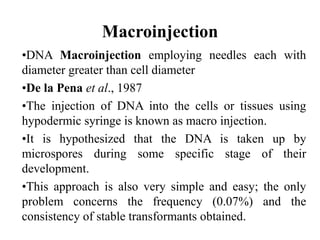 Macroinjection
•DNA Macroinjection employing needles each with
diameter greater than cell diameter
•De la Pena et al., 1987
•The injection of DNA into the cells or tissues using
hypodermic syringe is known as macro injection.
•It is hypothesized that the DNA is taken up by
microspores during some specific stage of their
development.
•This approach is also very simple and easy; the only
problem concerns the frequency (0.07%) and the
consistency of stable transformants obtained.
 