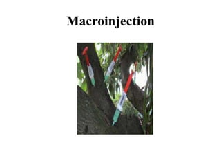 Macroinjection
 
