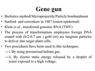 Gene gun
• Biolistics method/Microprojectile/Particle bombardment
• Sanford and coworkers in 1987 (onion epidermal)
• Klein et al., transferred genomic RNA (TMV)
• The process of transformation employees foreign DNA
coated with (0.2-0.7 μm ) gold (or) are tungsten particles
to deliver into target plant cells.
• Two procedures have been used to this techniques
– i. By using pressurized helium gas.
– ii. By electro static energy released by a droplet of
water exposed to a high voltage.
 