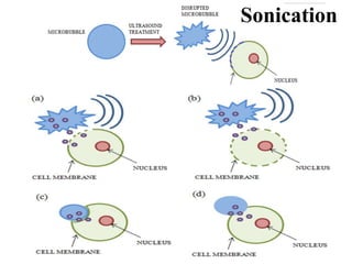 Sonication
 