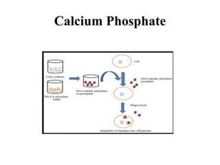 Calcium Phosphate
 