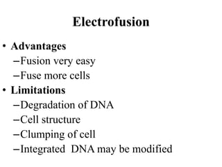 • Advantages
–Fusion very easy
–Fuse more cells
• Limitations
–Degradation of DNA
–Cell structure
–Clumping of cell
–Integrated DNA may be modified
Electrofusion
 