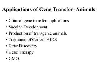 • Clinical gene transfer applications
• Vaccine Development
• Production of transgenic animals
• Treatment of Cancer, AIDS
• Gene Discovery
• Gene Therapy
• GMO
Applications of Gene Transfer- Animals
 
