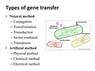 Types of gene transfer
• Natural method
– Conjugation
– Transformation
– Transduction
– Vector mediated
– Transposon
• Artificial method
– Physical method
– Chemical method
– Electrical method
 