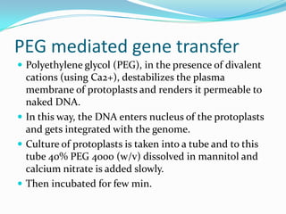 PEG mediated gene transfer
 Polyethylene glycol (PEG), in the presence of divalent
cations (using Ca2+), destabilizes the plasma
membrane of protoplasts and renders it permeable to
naked DNA.
 In this way, the DNA enters nucleus of the protoplasts
and gets integrated with the genome.
 Culture of protoplasts is taken into a tube and to this
tube 40% PEG 4000 (w/v) dissolved in mannitol and
calcium nitrate is added slowly.
 Then incubated for few min.
 