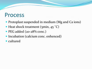 Process
 Protoplast suspended in medium (Mg and Ca ions)
 Heat shock treatment (5min, 45 ˚C)
 PEG added (20-28% conc.)
 Incubation (calcium conc. enhenced)
 cultured
 