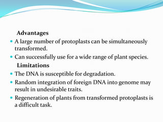 Advantages
 A large number of protoplasts can be simultaneously
transformed.
 Can successfully use for a wide range of plant species.
Limitations
 The DNA is susceptible for degradation.
 Random integration of foreign DNA into genome may
result in undesirable traits.
 Regeneration of plants from transformed protoplasts is
a difficult task.
 