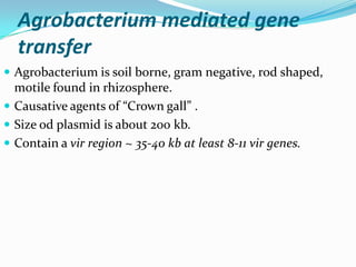 Agrobacterium mediated gene
transfer
 Agrobacterium is soil borne, gram negative, rod shaped,
motile found in rhizosphere.
 Causative agents of “Crown gall” .
 Size od plasmid is about 200 kb.
 Contain a vir region ~ 35-40 kb at least 8-11 vir genes.
 