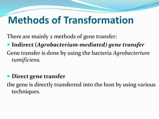 Methods of Transformation
There are mainly 2 methods of gene transfer:
 Indirect (Agrobacterium-mediated) gene transfer
Gene transfer is done by using the bacteria Agrobacterium
tumificiens.
 Direct gene transfer
the gene is directly transferred into the host by using various
techniques.
 
