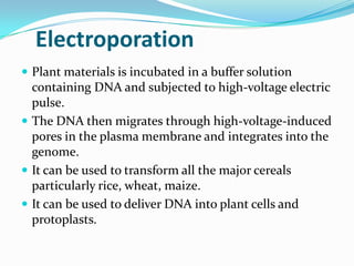 Electroporation
 Plant materials is incubated in a buffer solution
containing DNA and subjected to high-voltage electric
pulse.
 The DNA then migrates through high-voltage-induced
pores in the plasma membrane and integrates into the
genome.
 It can be used to transform all the major cereals
particularly rice, wheat, maize.
 It can be used to deliver DNA into plant cells and
protoplasts.
 