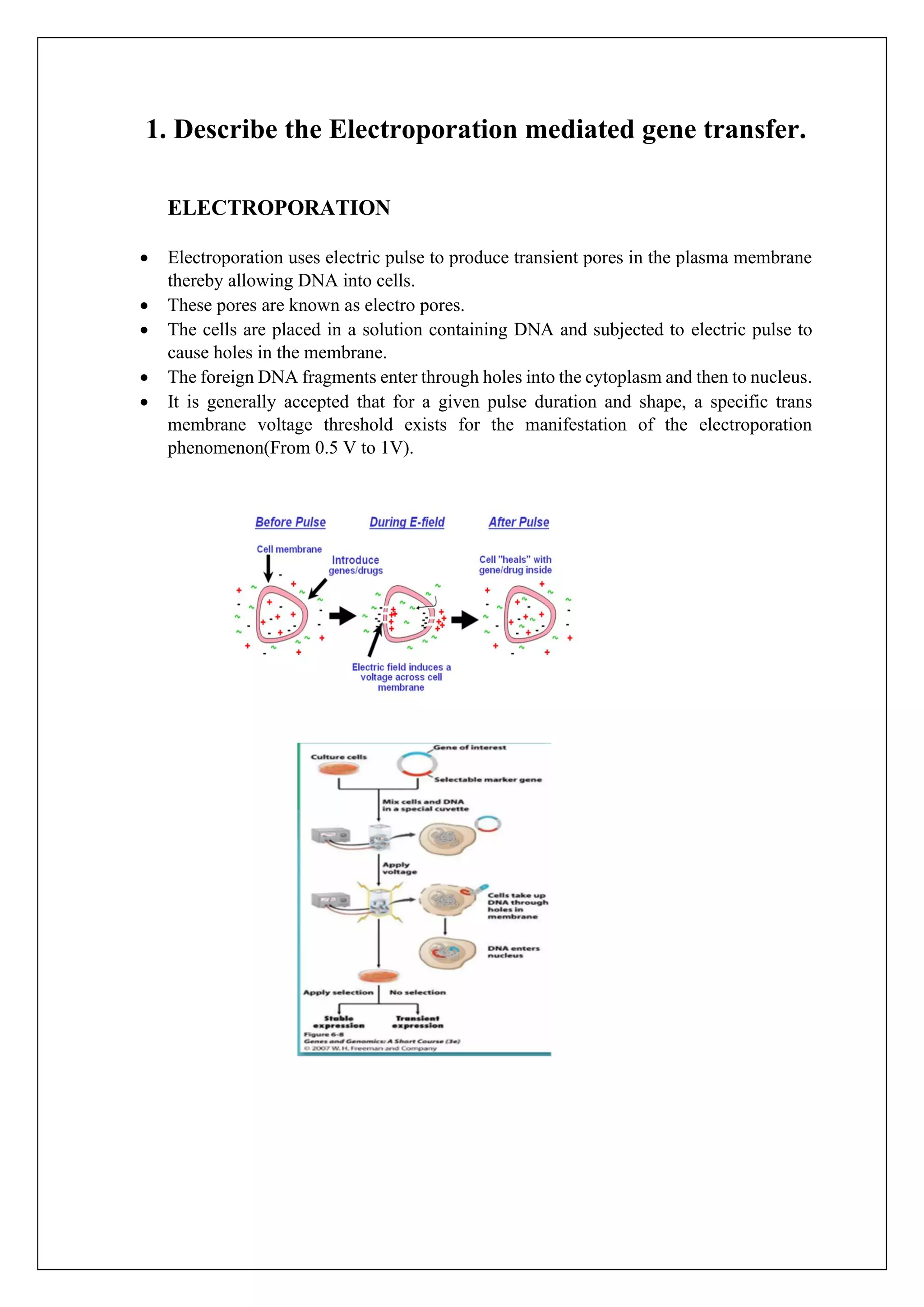 gene transfer techniques | PDF
