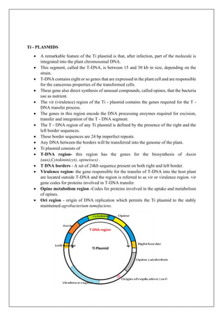 Ti - PLASMIDS
• A remarkable feature of the Ti plasmid is that, after infection, part of the molecule is
integrated into the plant chromosomal DNA.
• This segment, called the T-DNA, is between 15 and 30 kb in size, depending on the
strain.
• T-DNA contains eight or so genes that are expressed in the plant cell and are responsible
for the cancerous properties of the transformed cells.
• These gene also direct synthesis of unusual compounds, called opines, that the bacteria
use as nutrient.
• The vir (virulence) region of the Ti - plasmid contains the genes required for the T -
DNA transfer process.
• The genes in this region encode the DNA processing enzymes required for excision,
transfer and integration of the T - DNA segment.
• The T - DNA region of any Ti plasmid is defined by the presence of the right and the
left border sequences.
• These border sequences are 24 bp imperfect repeats.
• Any DNA between the borders will be transferred into the genome of the plant.
• Ti plasmid consists of
• T-DNA region- this region has the genes for the biosynthesis of Auxin
(aux),Cytokinin(cyt), opine(ocs) .
• T DNA borders - A set of 24kb sequence present on both right and left border.
• Virulence region- the gene responsible for the transfer of T-DNA into the host plant
are located outside T-DNA and the region is referred to as vir or virulence region. vir
gene codes for proteins involved in T-DNA transfer.
• Opine metabolism region -Codes for proteins involved in the uptake and metabolism
of opines.
• Ori region - origin of DNA replication which permits the Ti plasmid to the stably
maintained agrobacterium tumefaciens.
 