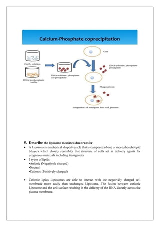 5. Describe the liposome mediated dna transfer
• A Liposome is a spherical shaped vesicle that is composed of one or more phospholipid
bilayers which closely resembles that structure of cells act as delivery agents for
exogenous materials including transgender
• 3 types of lipids:
•Anionic (Negatively charged)
•Neutral
•Cationic (Positively charged)
• Cationic lipids Liposomes are able to interact with the negatively charged cell
membrane more easily than unchanged Liposome. The fusion between cationic
Liposome and the cell surface resulting in the delivery of the DNA directly across the
plasma membrane.
 