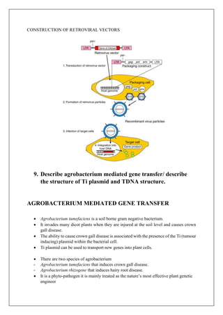 CONSTRUCTION OF RETROVIRAL VECTORS
9. Describe agrobacterium mediated gene transfer/ describe
the structure of Ti plasmid and TDNA structure.
AGROBACTERIUM MEDIATED GENE TRANSFER
• Agrobacterium tumefaciens is a soil borne gram negative bacterium.
• It invades many dicot plants when they are injured at the soil level and causes crown
gall disease.
• The ability to cause crown gall disease is associated with the presence of the Ti (tumour
inducing) plasmid within the bacterial cell.
• Ti plasmid can be used to transport new genes into plant cells.
• There are two species of agrobacterium
- Agrobacterium tumefaciens that induces crown gall disease.
- Agrobacterium rhizogene that induces hairy root disease.
• It is a phyto-pathogen it is mainly treated as the nature’s most effective plant genetic
engineer
 
