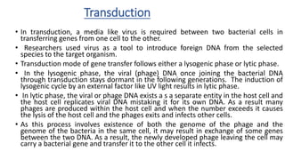 Modes of Gene Transfer | PPTX