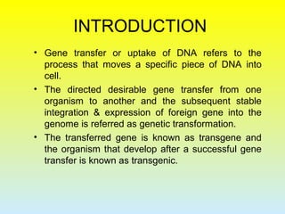 INTRODUCTION
• Gene transfer or uptake of DNA refers to the
process that moves a specific piece of DNA into
cell.
• The directed desirable gene transfer from one
organism to another and the subsequent stable
integration & expression of foreign gene into the
genome is referred as genetic transformation.
• The transferred gene is known as transgene and
the organism that develop after a successful gene
transfer is known as transgenic.
 
