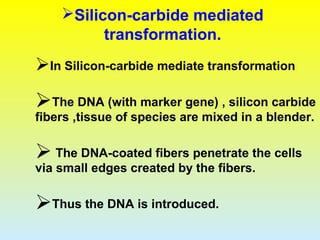 Silicon-carbide mediated
transformation.
In Silicon-carbide mediate transformation
The DNA (with marker gene) , silicon carbide
fibers ,tissue of species are mixed in a blender.
 The DNA-coated fibers penetrate the cells
via small edges created by the fibers.
Thus the DNA is introduced.
 