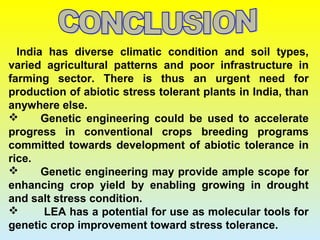India has diverse climatic condition and soil types,
varied agricultural patterns and poor infrastructure in
farming sector. There is thus an urgent need for
production of abiotic stress tolerant plants in India, than
anywhere else.
 Genetic engineering could be used to accelerate
progress in conventional crops breeding programs
committed towards development of abiotic tolerance in
rice.
 Genetic engineering may provide ample scope for
enhancing crop yield by enabling growing in drought
and salt stress condition.
 LEA has a potential for use as molecular tools for
genetic crop improvement toward stress tolerance.
 