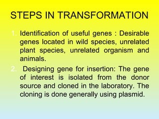 STEPS IN TRANSFORMATION
1. Identification of useful genes : Desirable
genes located in wild species, unrelated
plant species, unrelated organism and
animals.
2. Designing gene for insertion: The gene
of interest is isolated from the donor
source and cloned in the laboratory. The
cloning is done generally using plasmid.
 