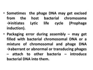 • Sometimes the phage DNA may get excised
from the host bacterial chromosome
→initiates Lytic life cycle (Prophage
induction).
• Packaging error during assembly – may get
filled with bacterial chromosomal DNA or a
mixture of chromosomal and phage DNA
→aberrant or abnormal or transducing phages
– attach to other bacteria – introduce
bacterial DNA into them.
 
