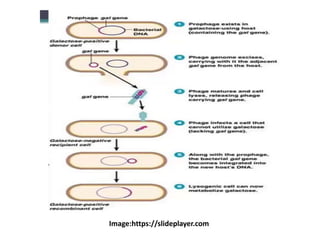 Image:https://slideplayer.com
 