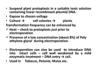 • Suspend plant protoplasts in a suitable ionic solution
containing linear recombinant plasmid DNA.
• Expose to chosen voltage
• Culture → cell colonies → plants
Transformation frequency can be enhanced by
 Heat – shock to protoplasts just prior to
electroporation
 Presence of a low concentration (about 8%) of Poly
ethylene glycol during electroporation.
• Electroporation can also be used to introduce DNA
into intact cells – cell wall weakened by a mild
enzymatic treatment – DNA entry → cell.
• Used in Tobacco, Petunia, Maize etc.
 