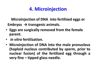 4. Microinjection
Microinjection of DNA into fertilized eggs or
Embryos → transgenic animals.
• Eggs are surgically removed from the female
parent.
• in vitro fertilization.
• Microinjection of DNA into the male pronucleus
(haploid nucleus contributed by sperm, prior to
nuclear fusion) of the fertilized egg through a
very fine – tipped glass needle.
 