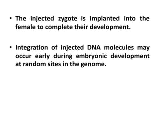 • The injected zygote is implanted into the
female to complete their development.
• Integration of injected DNA molecules may
occur early during embryonic development
at random sites in the genome.
 