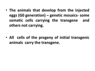 • The animals that develop from the injected
eggs (G0 generation) – genetic mosaics- some
somatic cells carrying the transgene and
others not carrying.
• All cells of the progeny of initial transgenic
animals carry the transgene.
 