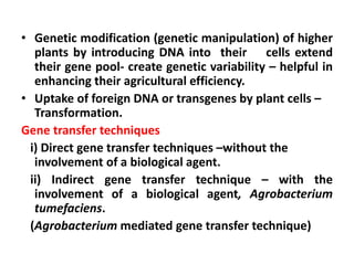 • Genetic modification (genetic manipulation) of higher
plants by introducing DNA into their cells extend
their gene pool- create genetic variability – helpful in
enhancing their agricultural efficiency.
• Uptake of foreign DNA or transgenes by plant cells –
Transformation.
Gene transfer techniques
i) Direct gene transfer techniques –without the
involvement of a biological agent.
ii) Indirect gene transfer technique – with the
involvement of a biological agent, Agrobacterium
tumefaciens.
(Agrobacterium mediated gene transfer technique)
 