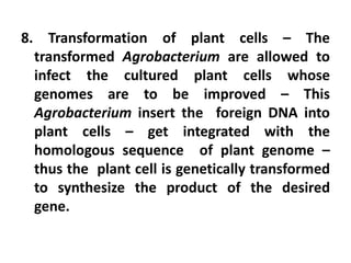 8. Transformation of plant cells – The
transformed Agrobacterium are allowed to
infect the cultured plant cells whose
genomes are to be improved – This
Agrobacterium insert the foreign DNA into
plant cells – get integrated with the
homologous sequence of plant genome –
thus the plant cell is genetically transformed
to synthesize the product of the desired
gene.
 