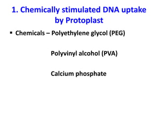 1. Chemically stimulated DNA uptake
by Protoplast
 Chemicals – Polyethylene glycol (PEG)
Polyvinyl alcohol (PVA)
Calcium phosphate
 