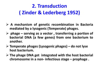 2. Transduction
( Zinder & Lederberg 1952)
 A mechanism of genetic recombination in Bacteria
mediated by a lysogenic (Temperate) phages.
 phage – serving as a vector , transferring a portion of
bacterial DNA (a few genes) from one bacterium to
another.
 Temperate phages (Lysogenic phages) – do not lyse
host bacterium.
 The phage DNA get integrated with the host bacterial
chromosome in a non- infectious stage – prophage .
 