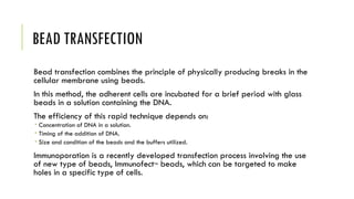 Gene transfer techniques in biotechnology | PPT