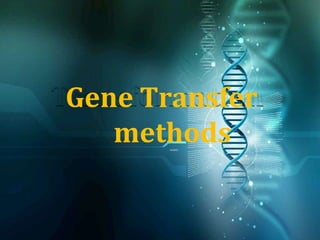 Gene Transfer
methods
 