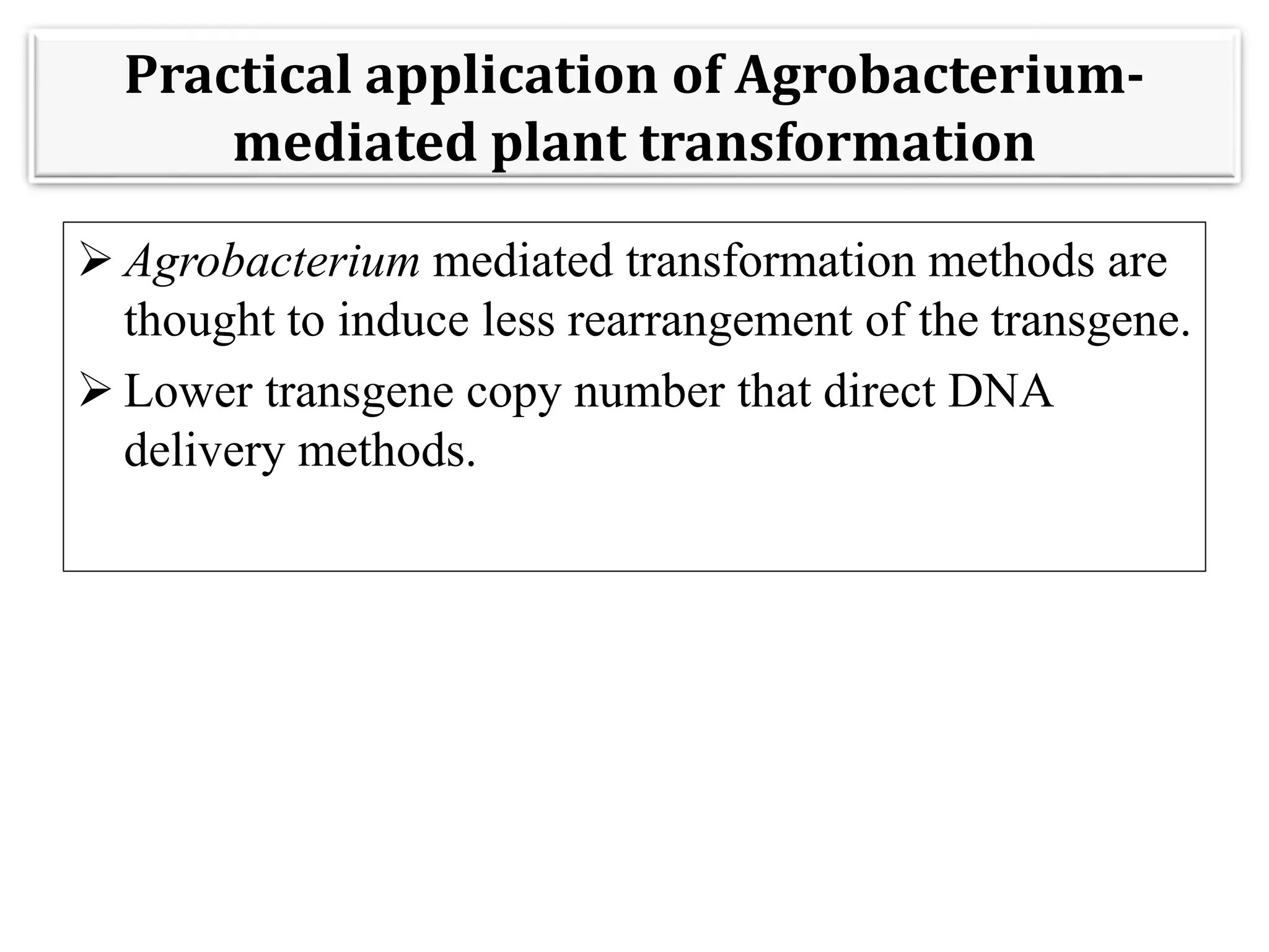 Practical application of Agrobacterium-
mediated plant transformation
 Agrobacterium mediated transformation methods are
thought to induce less rearrangement of the transgene.
 Lower transgene copy number that direct DNA
delivery methods.
 