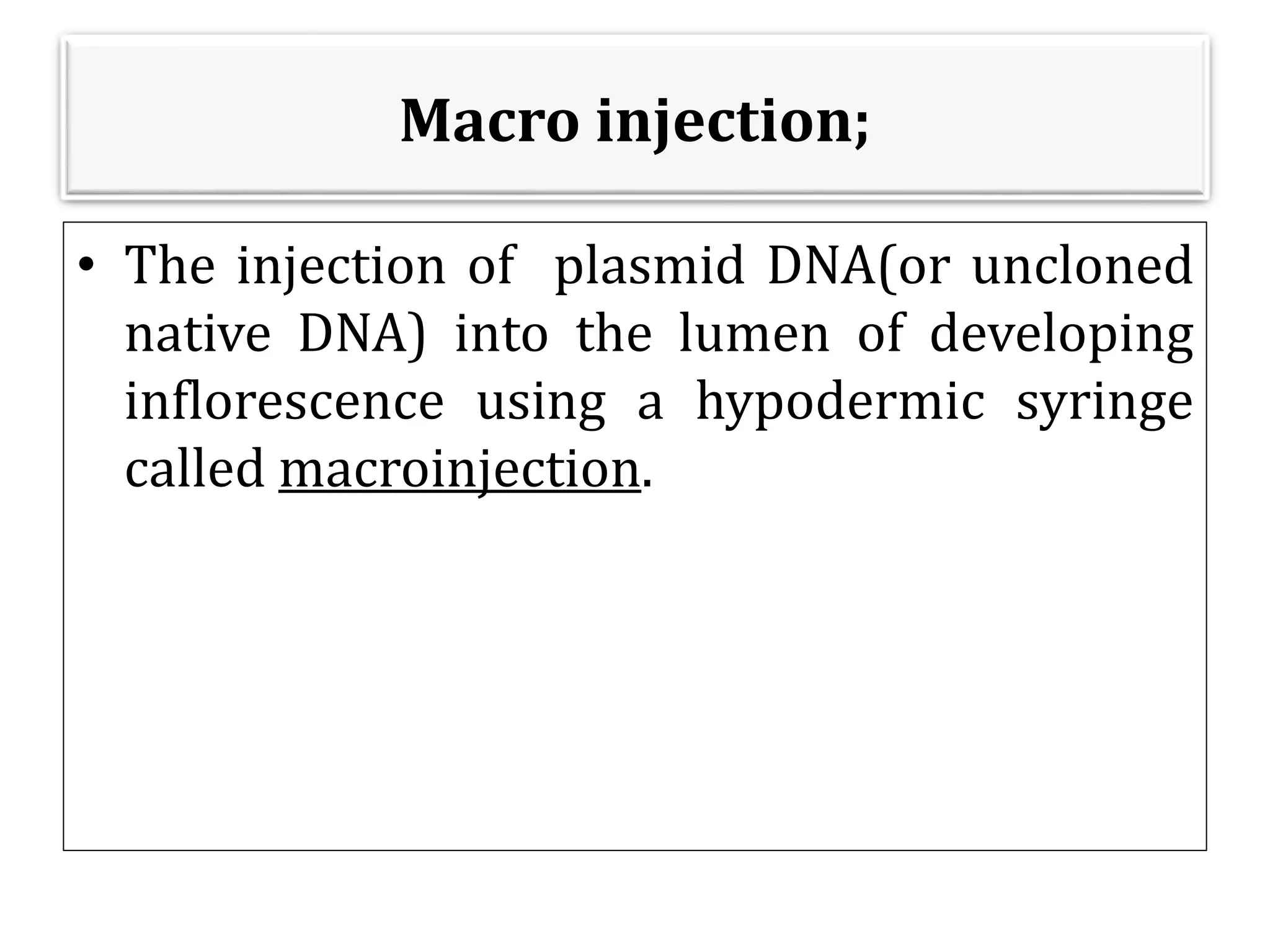 Macro injection;
• The injection of plasmid DNA(or uncloned
native DNA) into the lumen of developing
inflorescence using a hypodermic syringe
called macroinjection.
 