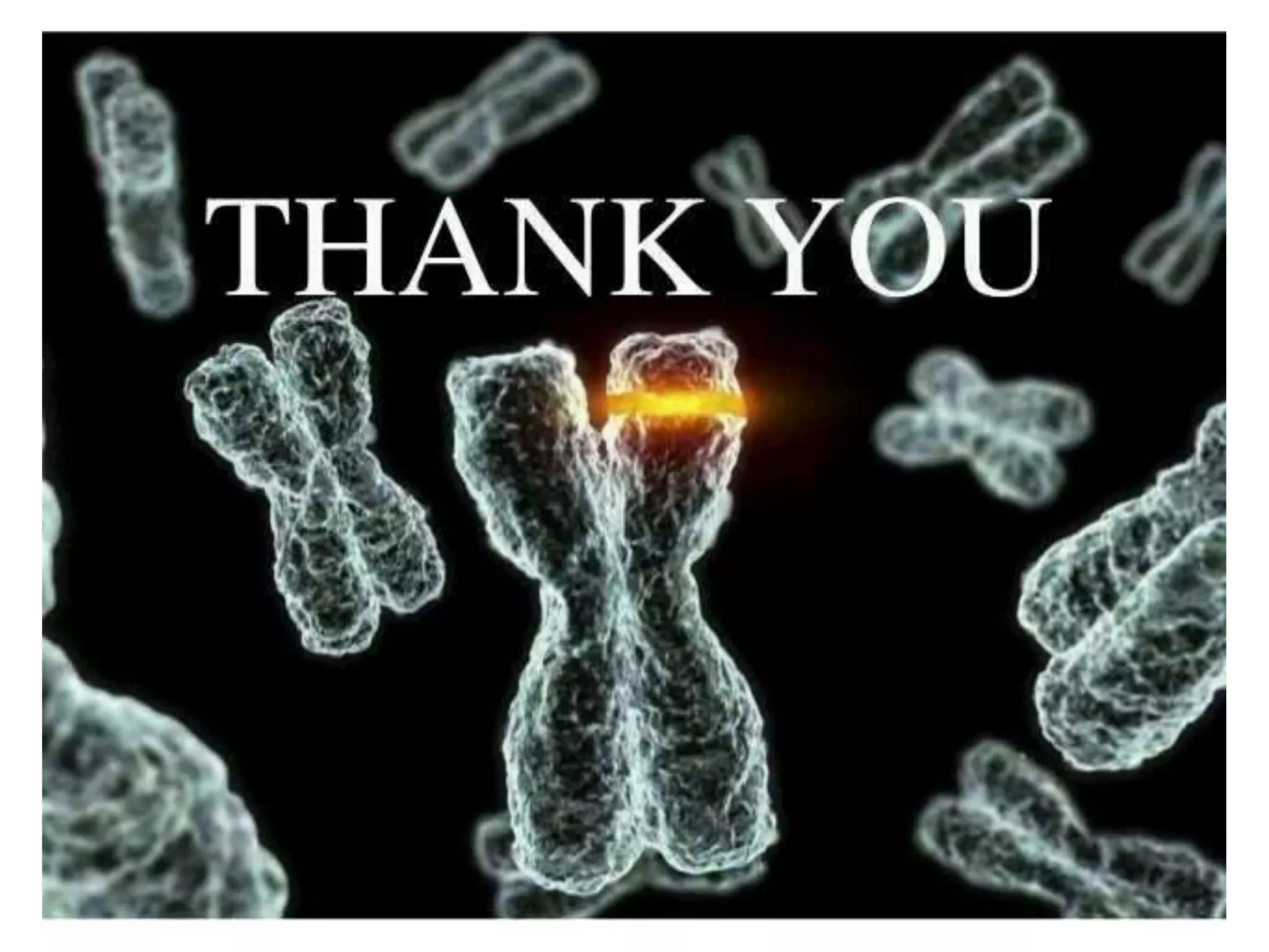 Gene transformation methods