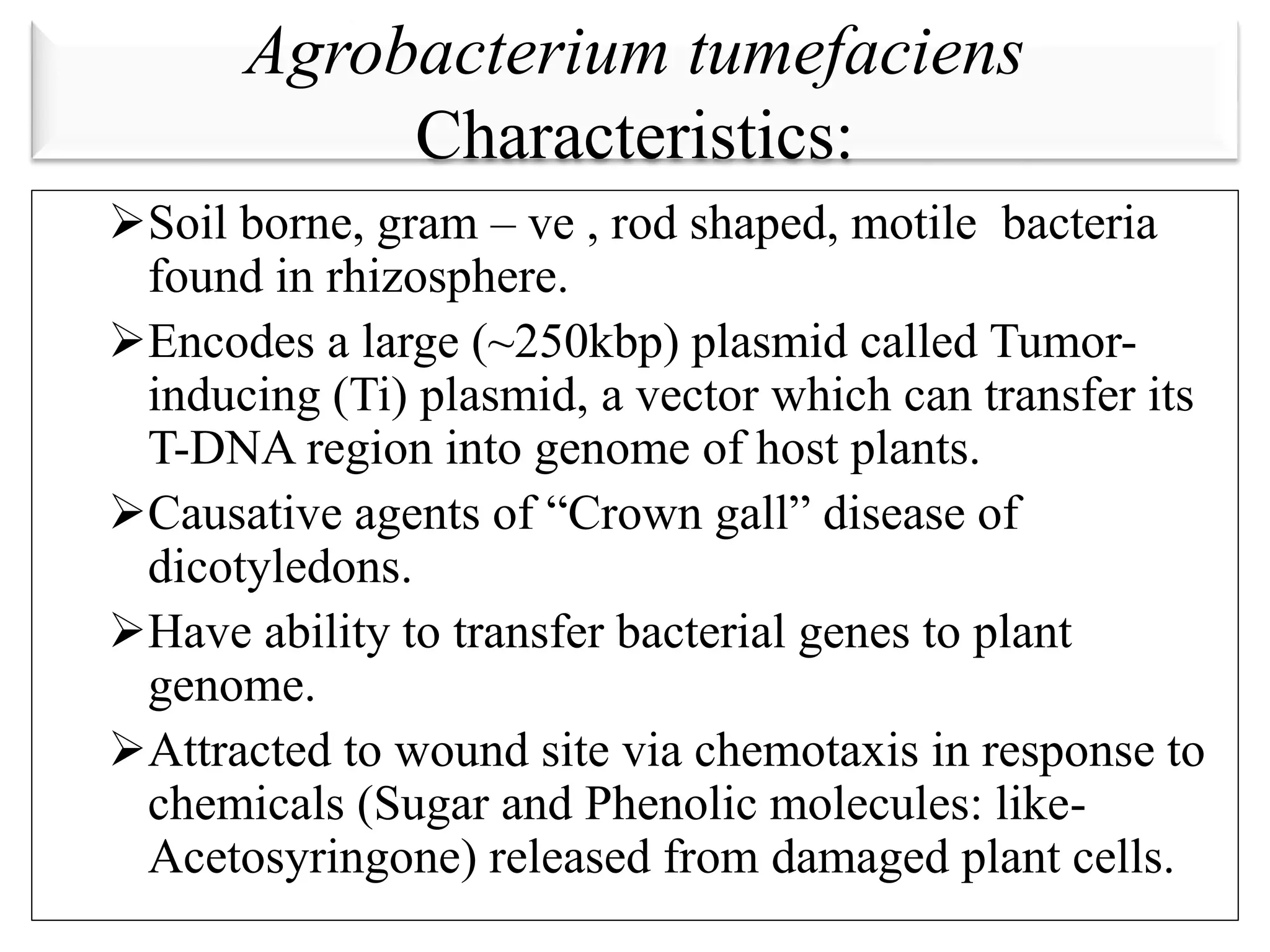 Agrobacterium tumefaciens
Characteristics:
Soil borne, gram – ve , rod shaped, motile bacteria
found in rhizosphere.
Encodes a large (~250kbp) plasmid called Tumor-
inducing (Ti) plasmid, a vector which can transfer its
T-DNA region into genome of host plants.
Causative agents of “Crown gall” disease of
dicotyledons.
Have ability to transfer bacterial genes to plant
genome.
Attracted to wound site via chemotaxis in response to
chemicals (Sugar and Phenolic molecules: like-
Acetosyringone) released from damaged plant cells.
 