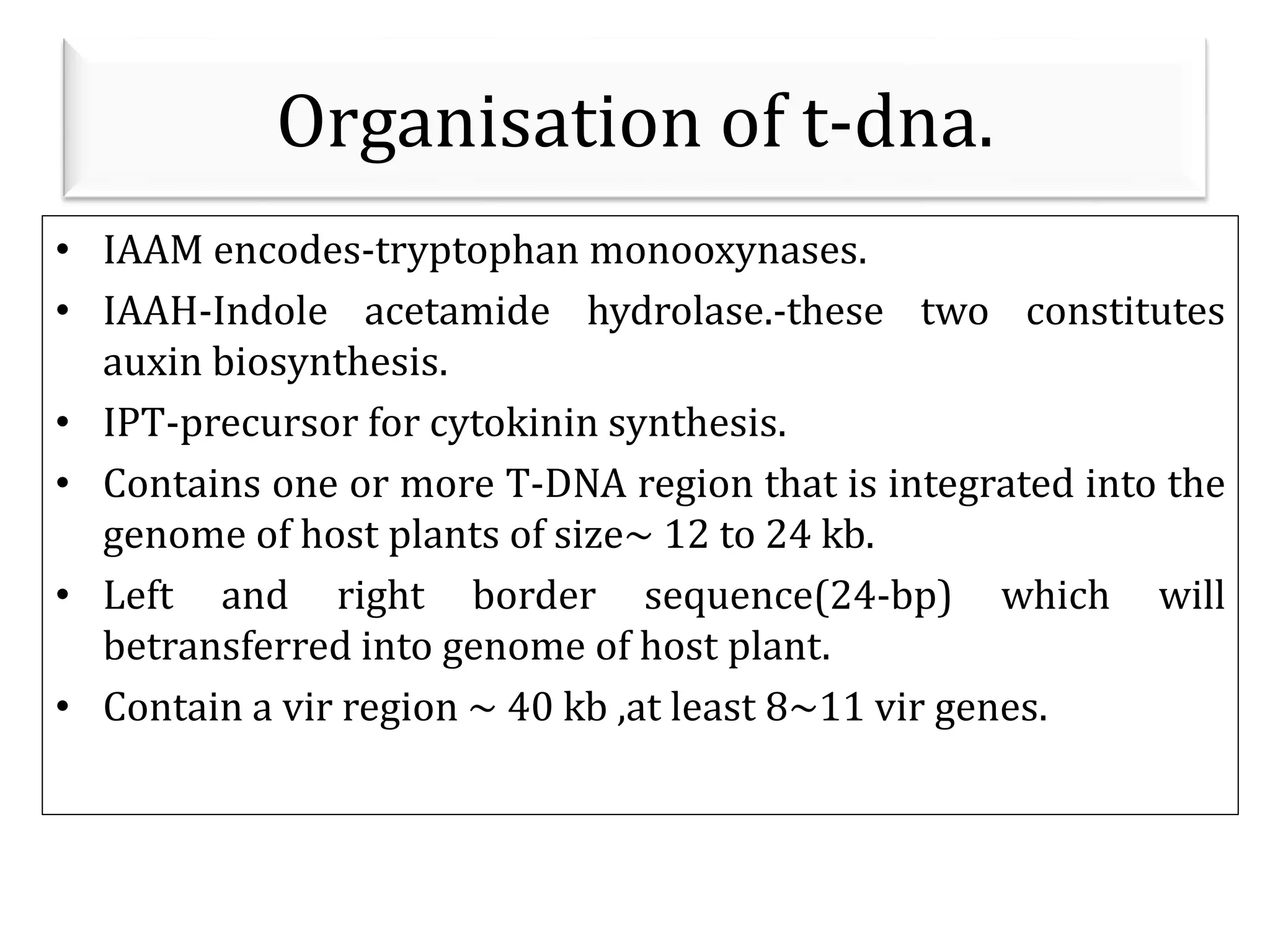Organisation of t-dna.
• IAAM encodes-tryptophan monooxynases.
• IAAH-Indole acetamide hydrolase.-these two constitutes
auxin biosynthesis.
• IPT-precursor for cytokinin synthesis.
• Contains one or more T-DNA region that is integrated into the
genome of host plants of size~ 12 to 24 kb.
• Left and right border sequence(24-bp) which will
betransferred into genome of host plant.
• Contain a vir region ~ 40 kb ,at least 8~11 vir genes.
 