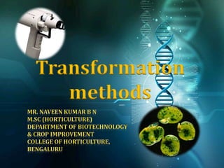 Transformation
methods
 