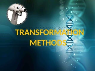 Comprehensive Overview of DNA Transformation Methods in Biotechnology ...